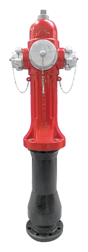 new-wromen-dn100.png
